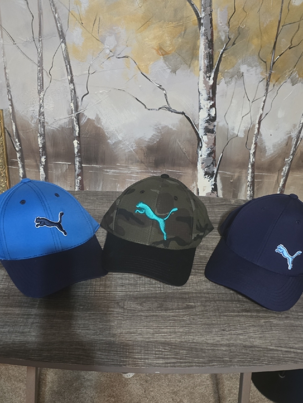 Puma Embroidered Logo Baseball Caps - Blue, Camo, Navy